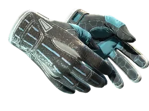 asset image asset image