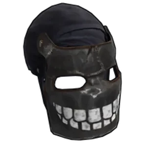 asset image asset image
